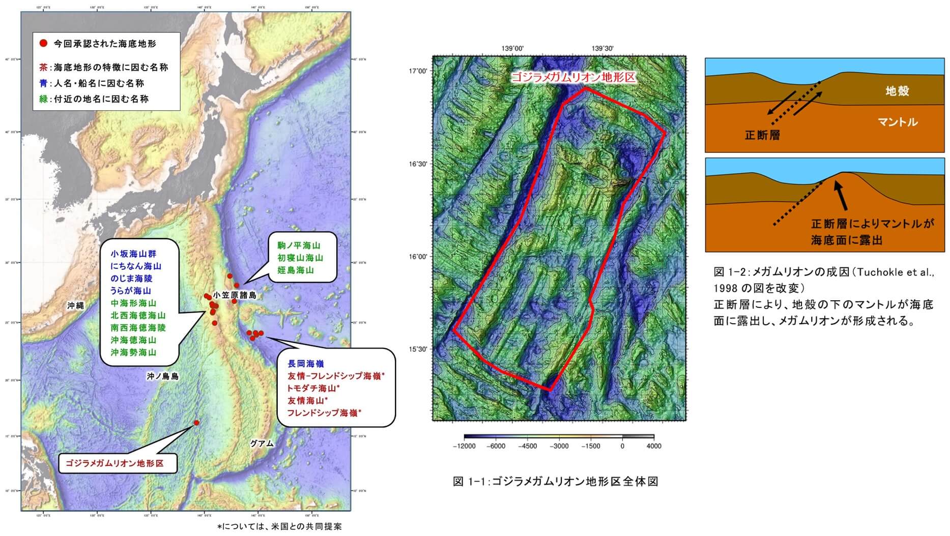 【海の中にゴジラ？友情？】海中の地形は陸上と同じ！